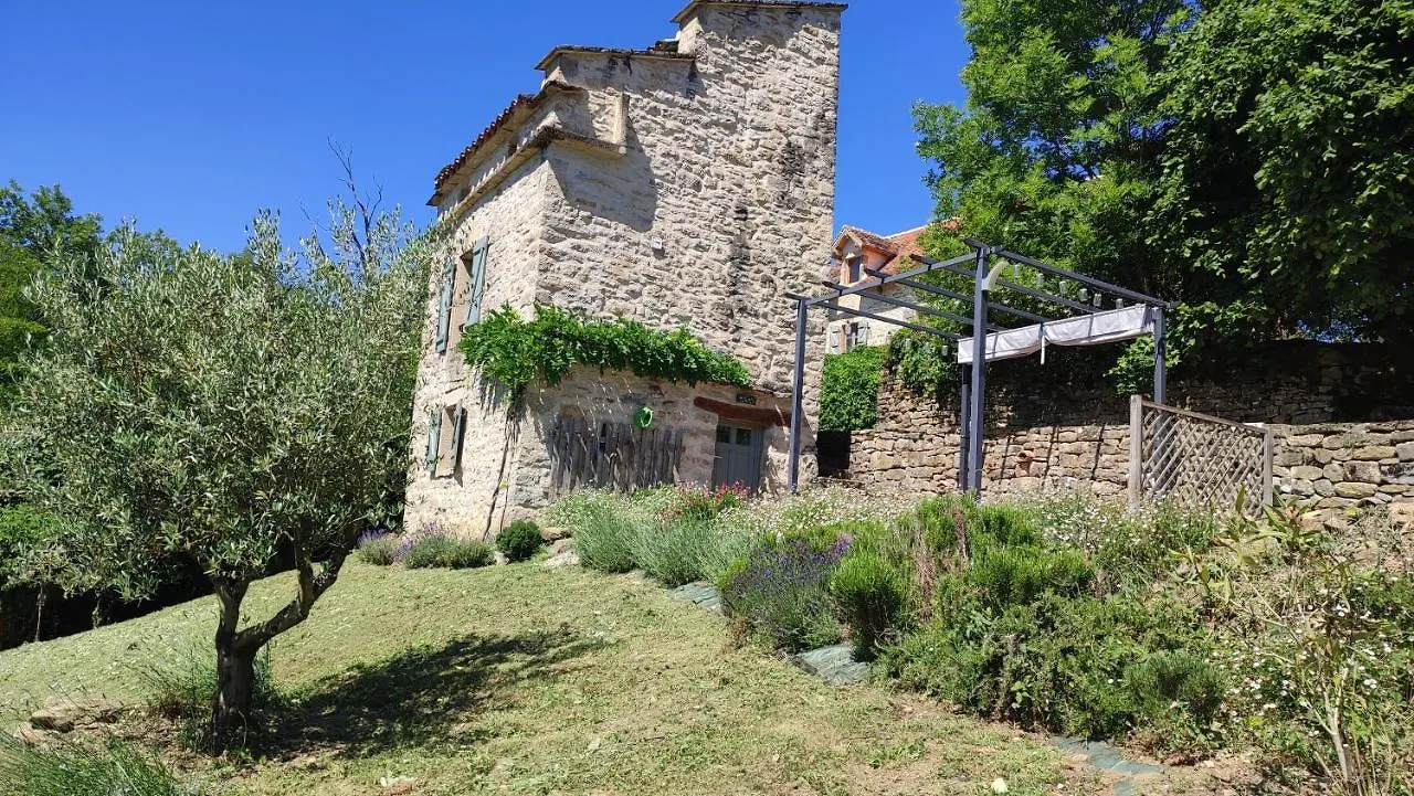 Villa Le pigeonnier de felines à Caylus