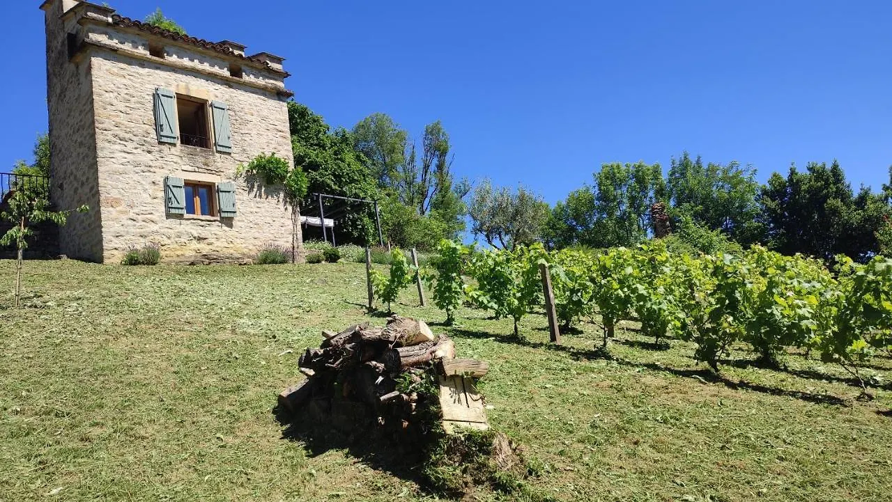 Villa Le pigeonnier de felines à Caylus France