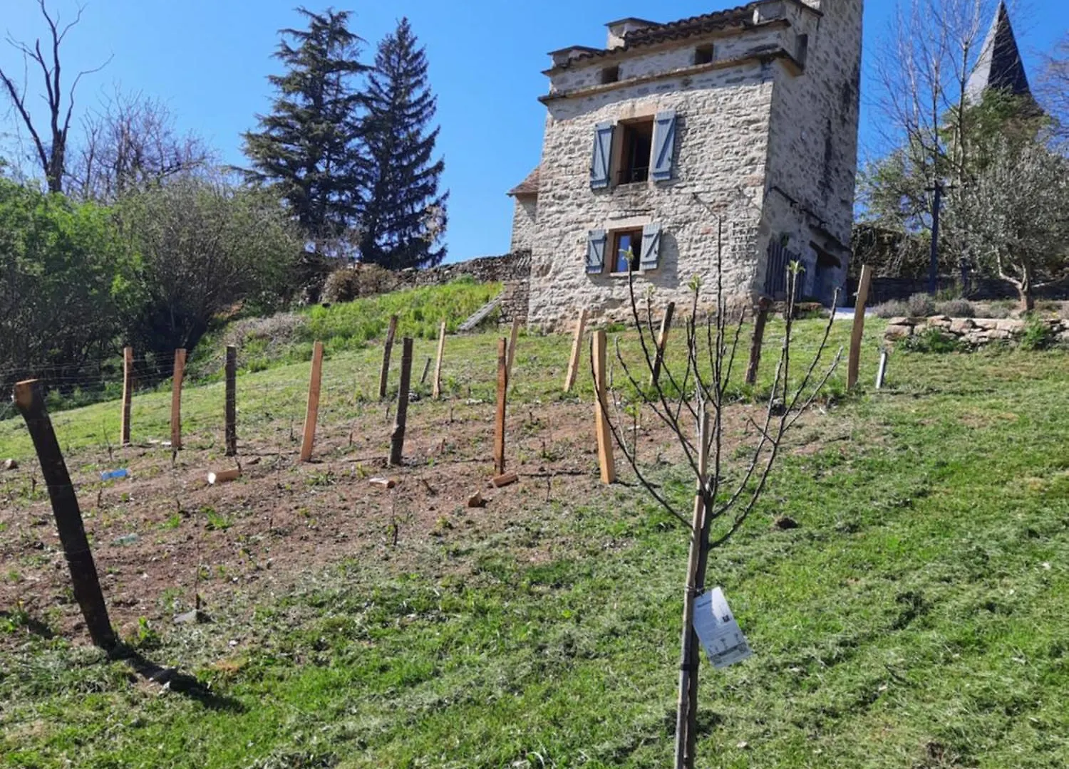 Villa Le pigeonnier de felines à Caylus Hébergement de vacances